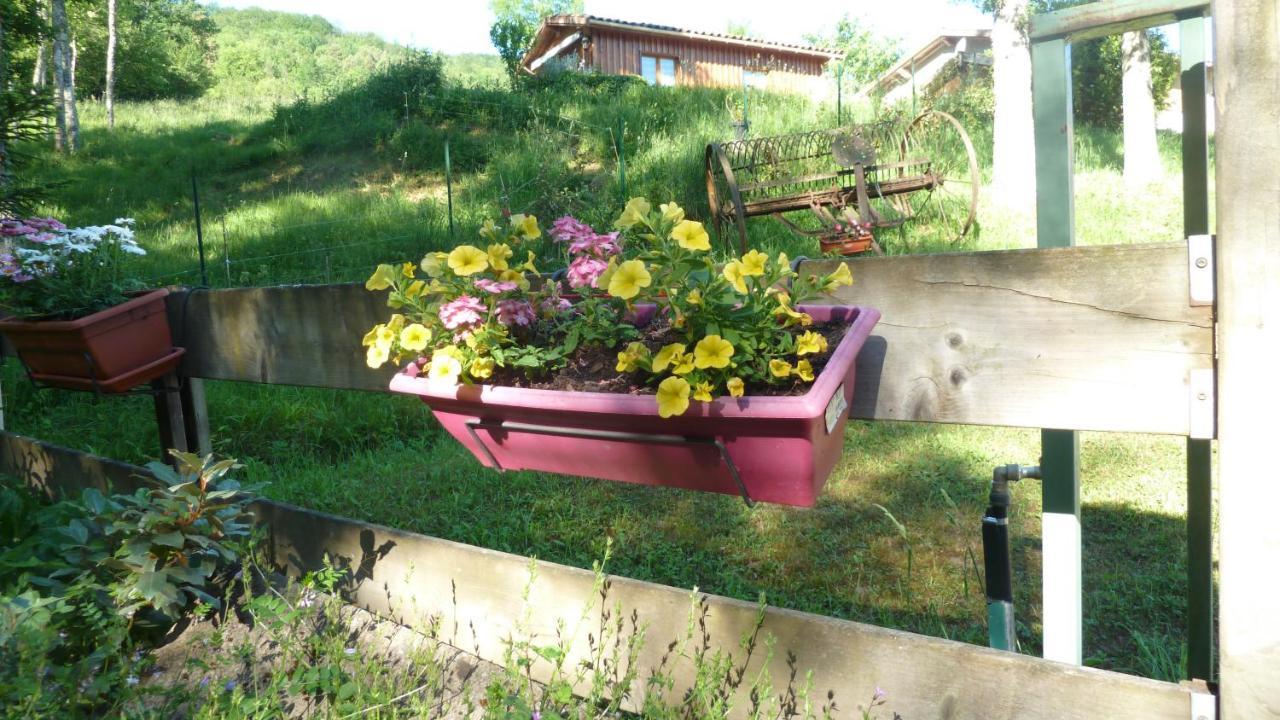 Gite La Lanterne Transition Ecologique Avec Borne De Recharge 7Kw Site Sous Video Protection Nalzen Екстер'єр фото